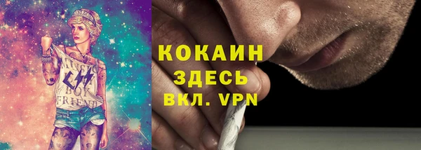 стаф Аркадак