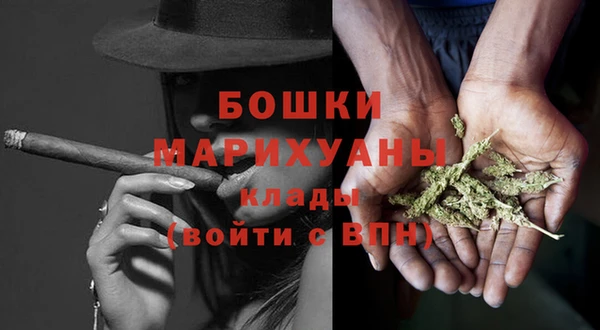стаф Аркадак