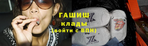 стаф Аркадак