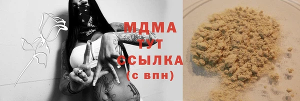 стаф Аркадак