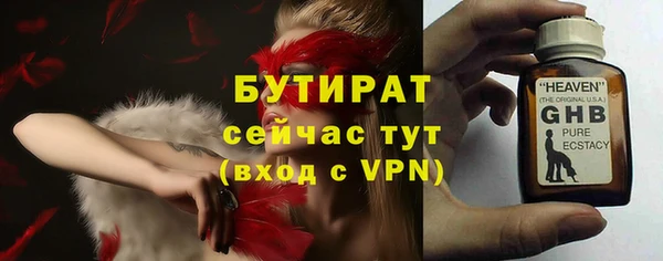 стаф Аркадак