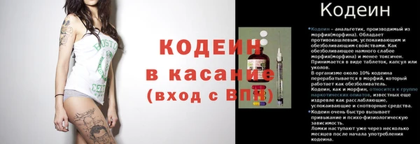 стаф Аркадак