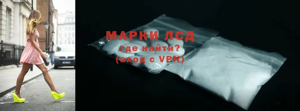 стаф Аркадак