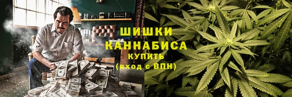 стаф Аркадак