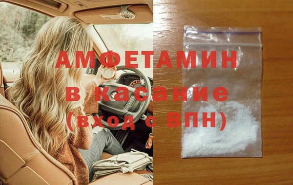 стаф Аркадак