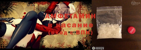стаф Аркадак