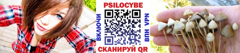 Галлюциногенные грибы прущие грибы  Краснослободск 